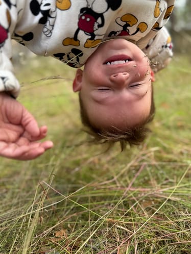 Zdjęcie główne wgrane przez użytkownika