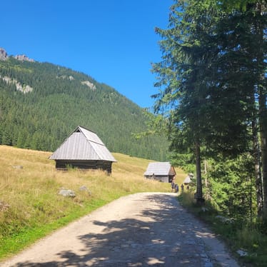 Zdjęcie główne wgrane przez użytkownika