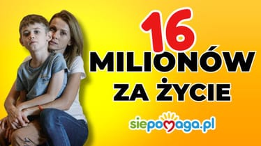 Main photo uploaded by the user