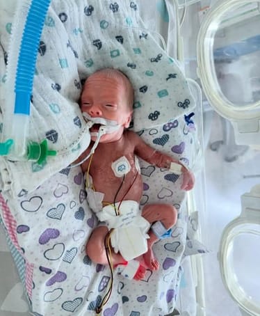 Zdjęcie główne wgrane przez użytkownika