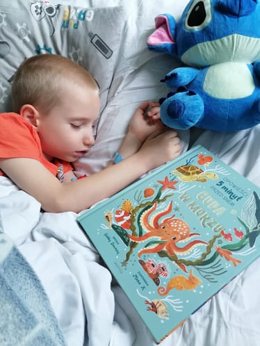 Zdjęcie główne wgrane przez użytkownika