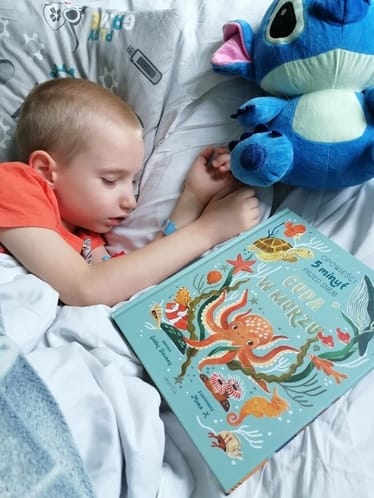 Zdjęcie główne wgrane przez użytkownika