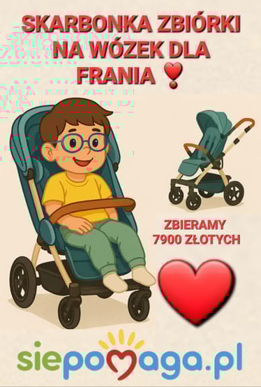 Main photo uploaded by the user