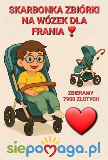 Zdjęcie główne wgrane przez użytkownika