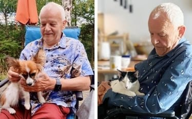 Zdjęcie główne wgrane przez użytkownika