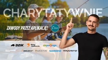 Zdjęcie główne wgrane przez użytkownika