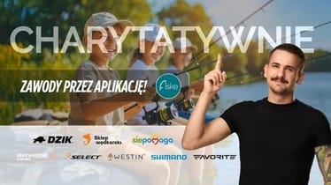 Zdjęcie główne wgrane przez użytkownika