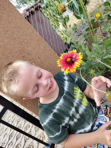 Zdjęcie główne wgrane przez użytkownika