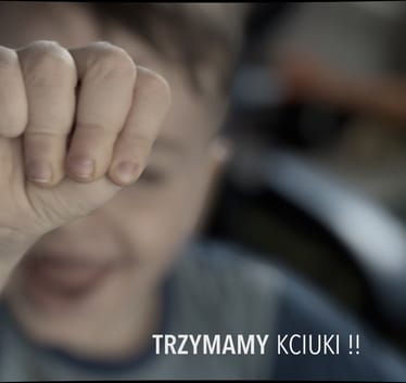 Zdjęcie główne wgrane przez użytkownika