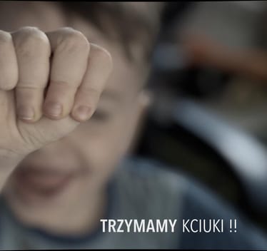 Zdjęcie główne wgrane przez użytkownika