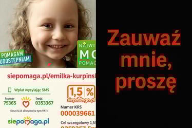 Zdjęcie główne wgrane przez użytkownika