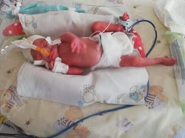 Main photo uploaded by the user