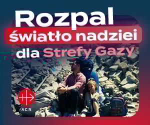 Zdjęcie główne wgrane przez użytkownika