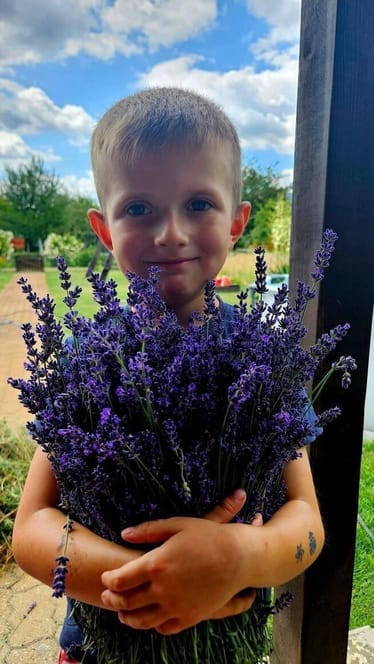 Zdjęcie główne wgrane przez użytkownika