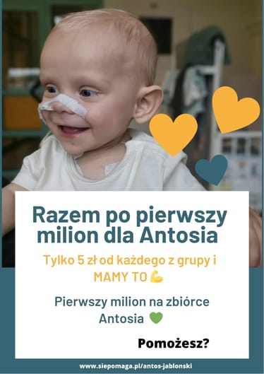 Zdjęcie główne wgrane przez użytkownika