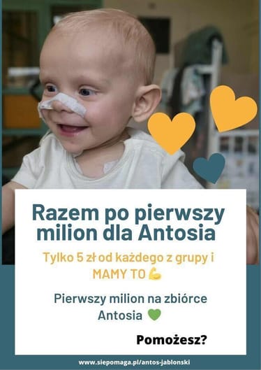 Main photo uploaded by the user