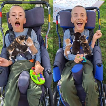 Main photo uploaded by the user