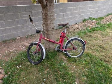 Main photo uploaded by the user