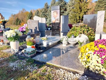 Zdjęcie główne wgrane przez użytkownika