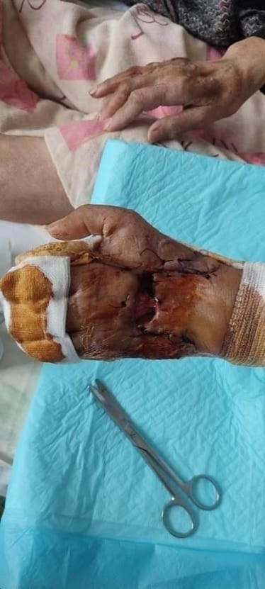 Main photo uploaded by the user