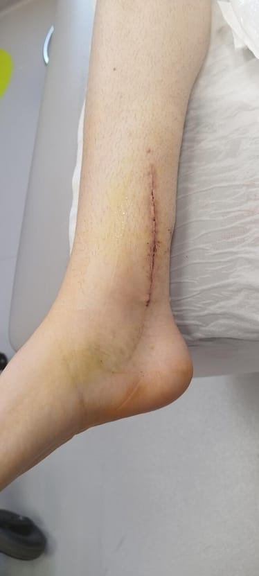 Main photo uploaded by the user