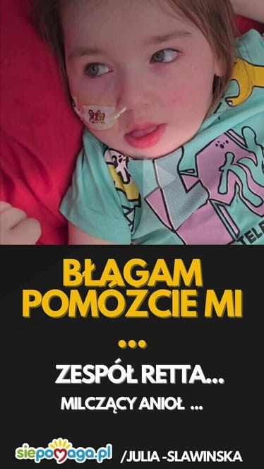 Zdjęcie główne wgrane przez użytkownika