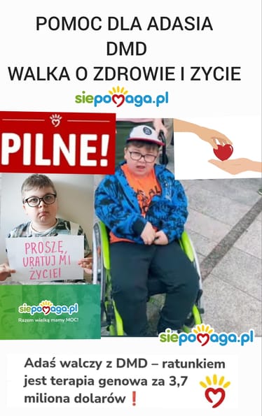 Zdjęcie główne wgrane przez użytkownika