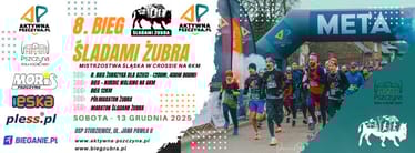 Zdjęcie główne wgrane przez użytkownika