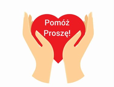 Zdjęcie główne wgrane przez użytkownika