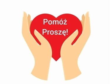 Zdjęcie główne wgrane przez użytkownika