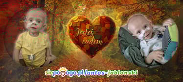 Main photo uploaded by the user