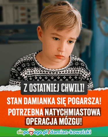 Main photo uploaded by the user