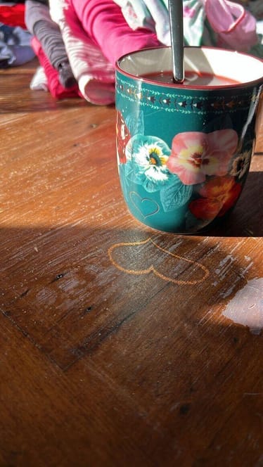 Zdjęcie główne wgrane przez użytkownika