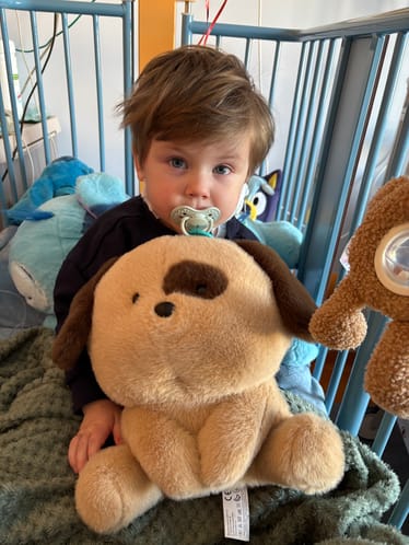 Main photo uploaded by the user