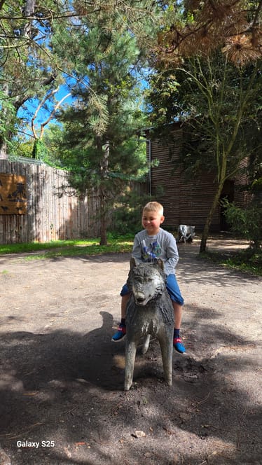 Zdjęcie główne wgrane przez użytkownika