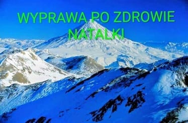 Main photo uploaded by the user