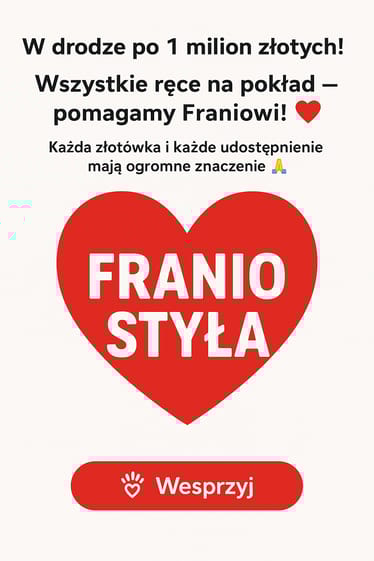 Main photo uploaded by the user