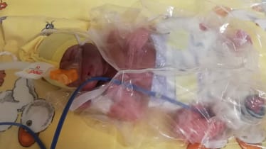 Main photo uploaded by the user