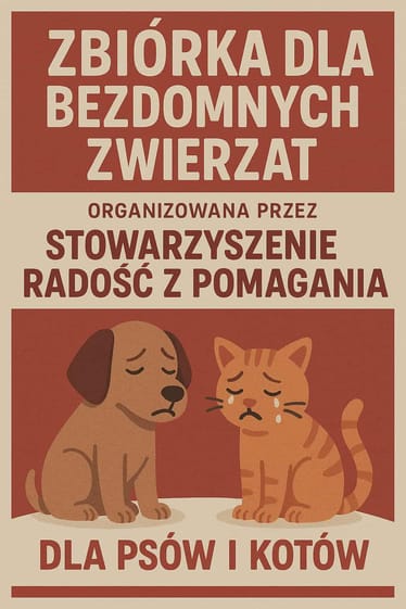 Main photo uploaded by the user