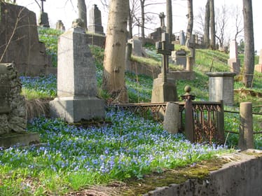 Zdjęcie główne wgrane przez użytkownika