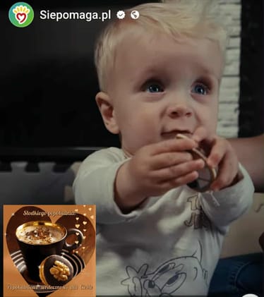 Zdjęcie główne wgrane przez użytkownika