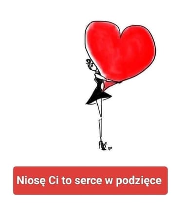 Main photo uploaded by the user