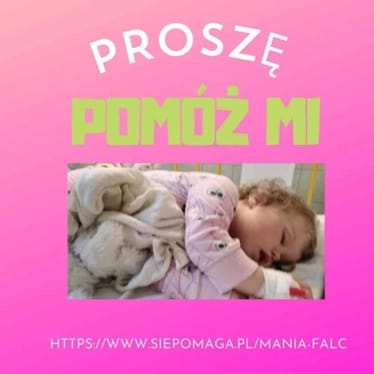 Zdjęcie główne wgrane przez użytkownika