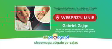 Zdjęcie główne wgrane przez użytkownika