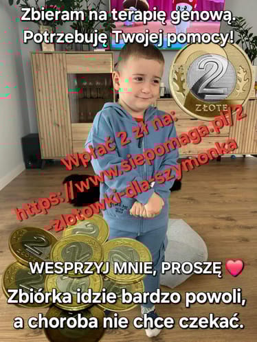 Zdjęcie główne wgrane przez użytkownika