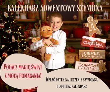 Zdjęcie główne wgrane przez użytkownika