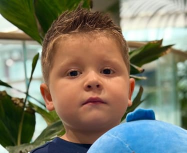 Main photo uploaded by the user