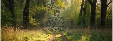 Main photo uploaded by the user