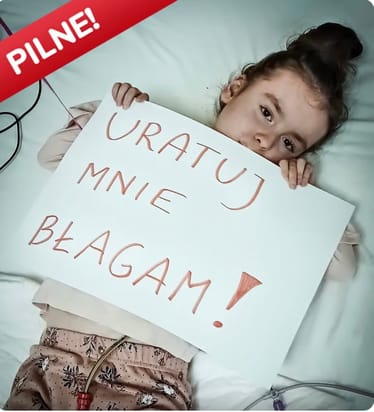 Zdjęcie główne wgrane przez użytkownika