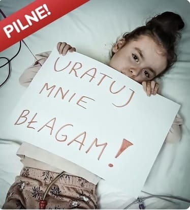 Zdjęcie główne wgrane przez użytkownika